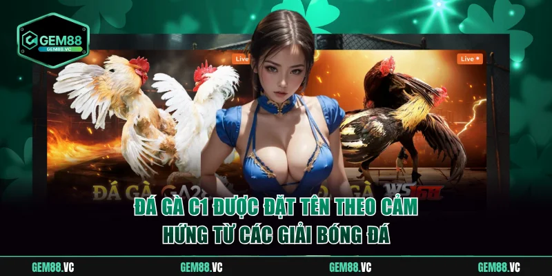 Đá gà C1 được đặt tên theo cảm hứng từ các giải bóng đá
